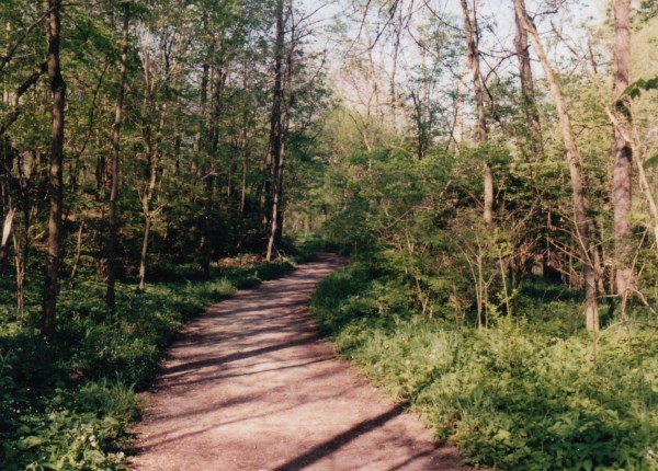 Fall Creek Trail, which shadows Fall Creek
