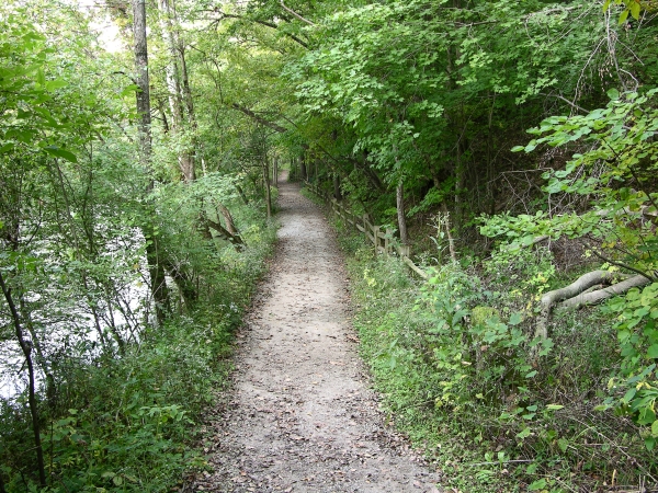 Trail 2 along the White River