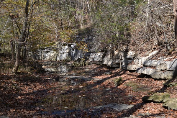 Mostly dry stream bed with rock outcrops