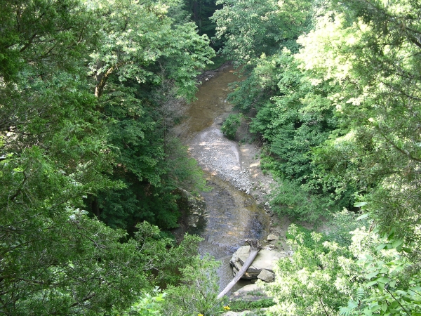 Stream from far above