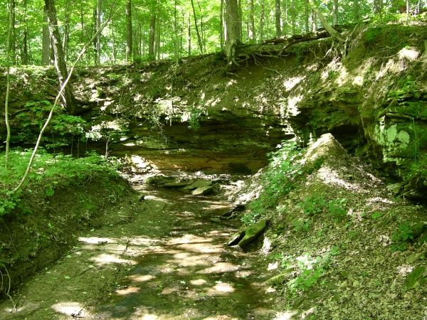 Outcrop along a Rock Creek tributary