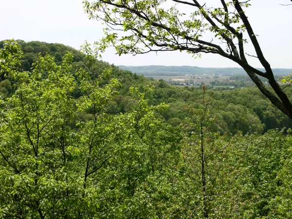 View from the Vista Trail